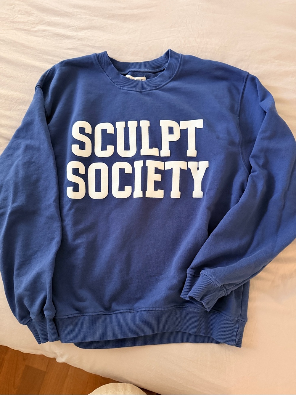 Sculpt Society Crewneck Sweatshirt - Blue